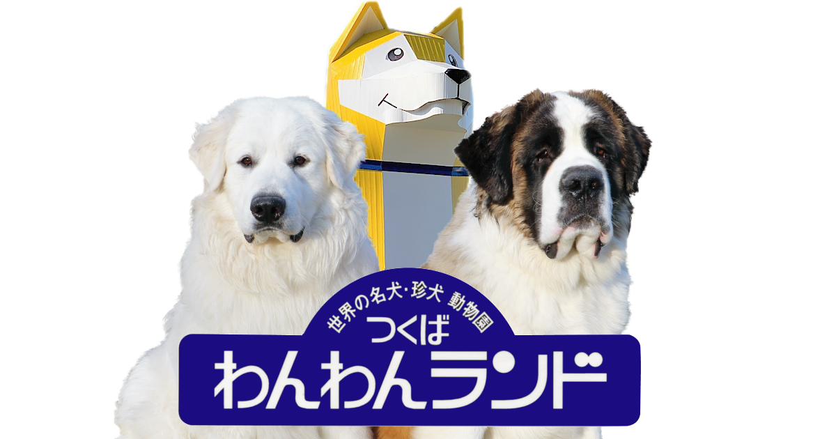つくばわんわんランドのイメージ画像